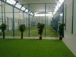 Padel School Albacete Padel School Albacete