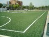 Geieg - Grup Excursionista i Esportiu Gironí Geieg - Grup Excursionista i Esportiu Gironí