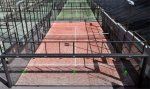 El Drago Padel Club