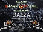 Club Shark Padel Baeza Club Shark Padel Baeza