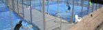 Up Padel & Tenis Club Up Padel & Tenis Club