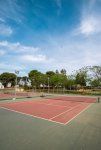Foto Club Deportivo Olivar de Quinto 2