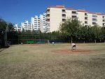 Foto Campo de Beisbol de Gandía - Club Béisbol Spiaggia 1