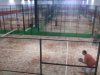 Padel la Torrecilla