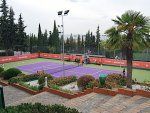 Real Sociedad de Tenis de Granada Real Sociedad de Tenis de Granada