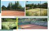 Club de Tenis la Moraleja Club de Tenis la Moraleja