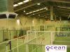 Ocean Padel Ocean Padel
